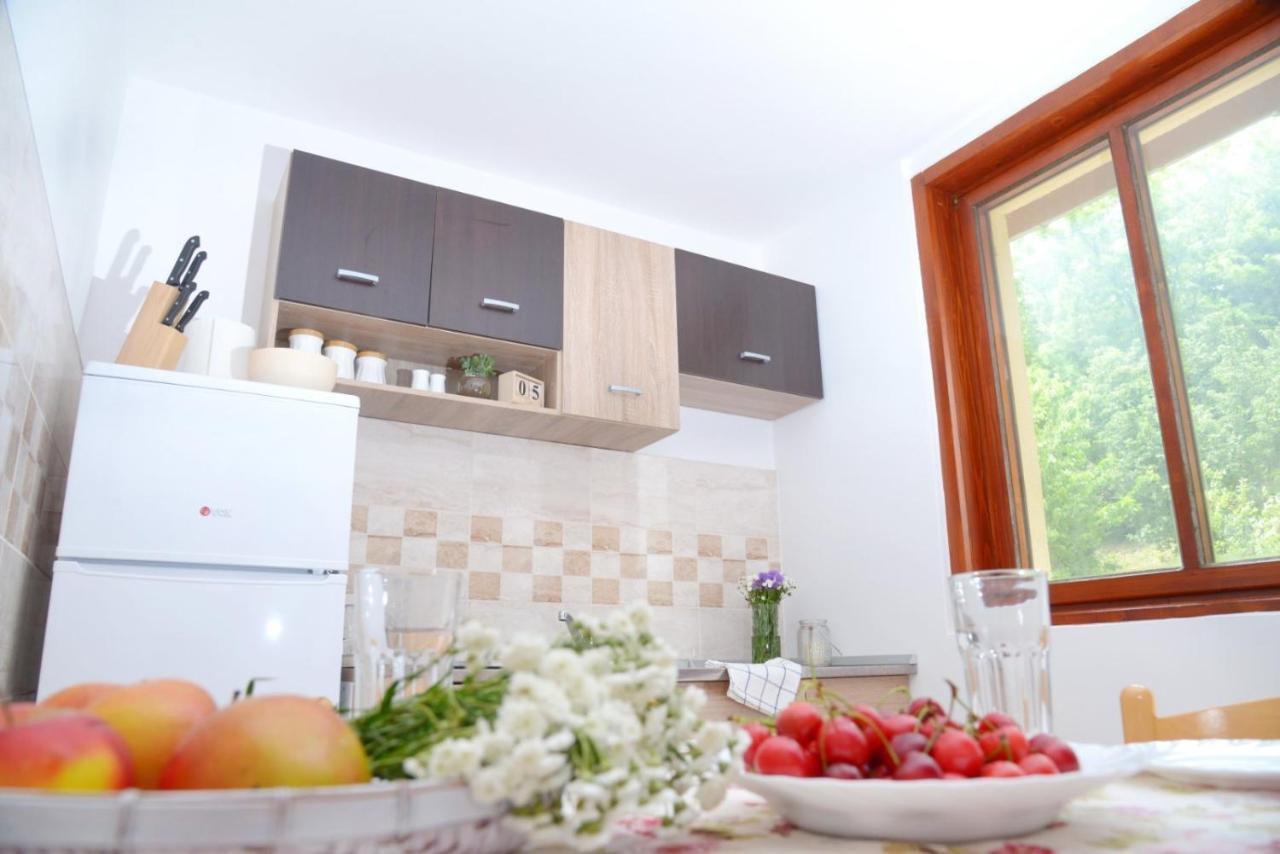 Apartament Zoja Vrdnik Zewnętrze zdjęcie