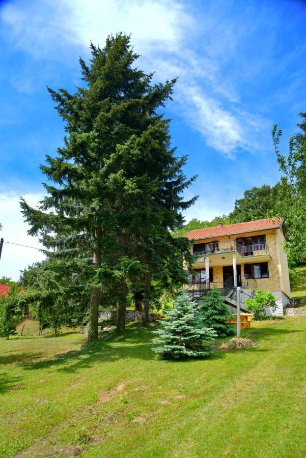 Apartament Zoja Vrdnik Zewnętrze zdjęcie
