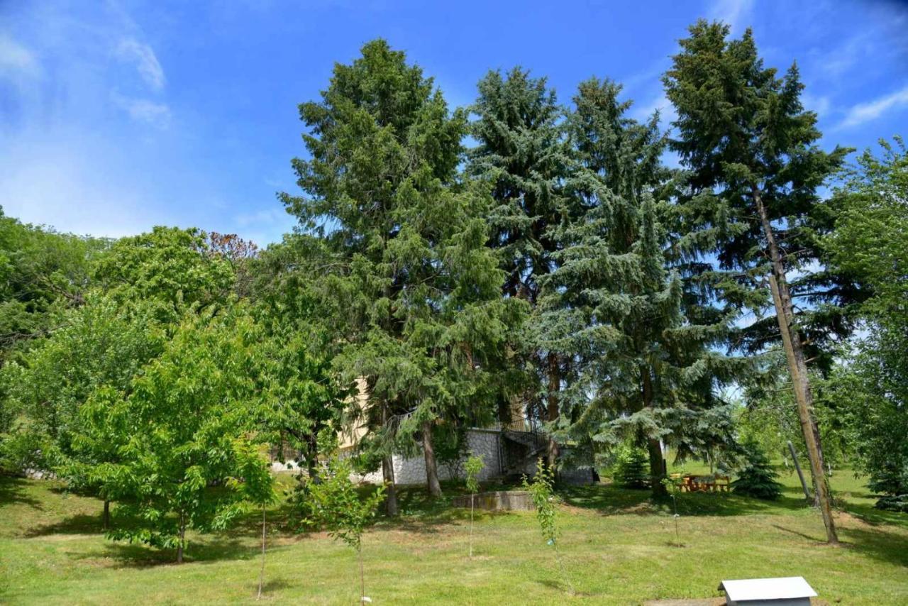 Apartament Zoja Vrdnik Zewnętrze zdjęcie